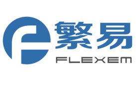 FELEXEM LOGO